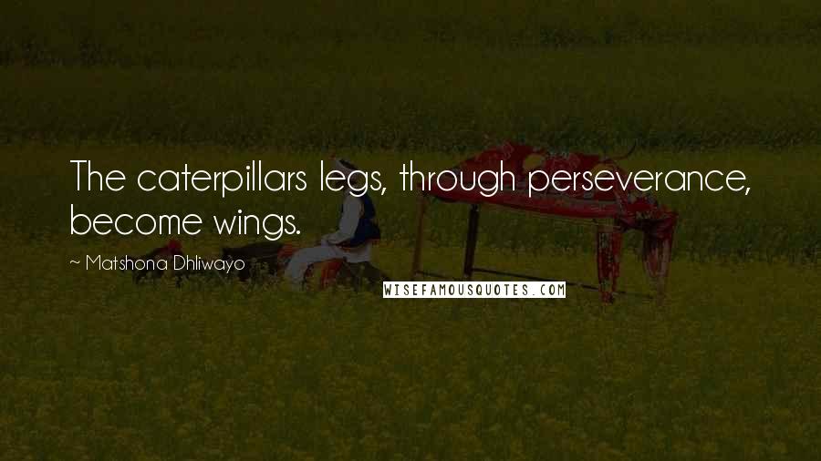 Matshona Dhliwayo Quotes: The caterpillars legs, through perseverance, become wings.