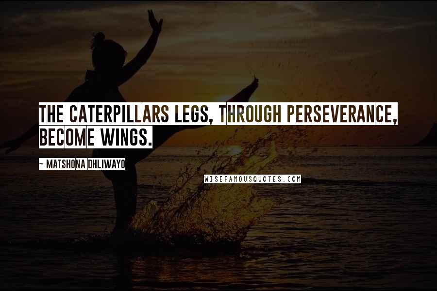 Matshona Dhliwayo Quotes: The caterpillars legs, through perseverance, become wings.