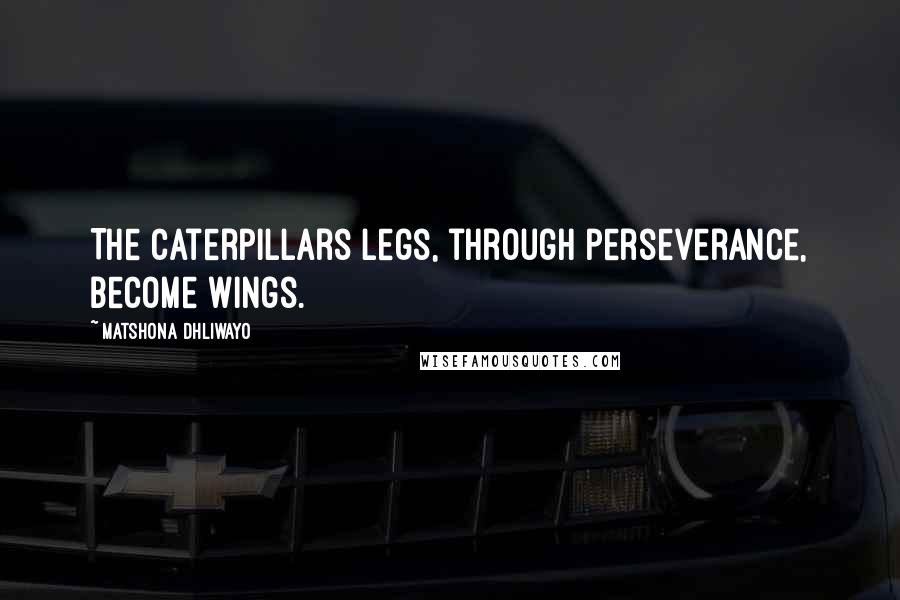Matshona Dhliwayo Quotes: The caterpillars legs, through perseverance, become wings.