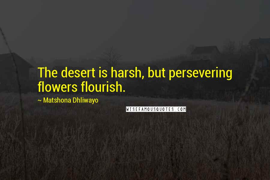 Matshona Dhliwayo Quotes: The desert is harsh, but persevering flowers flourish.