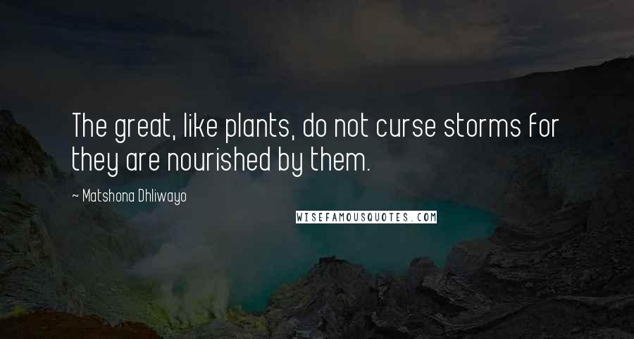 Matshona Dhliwayo Quotes: The great, like plants, do not curse storms for they are nourished by them.