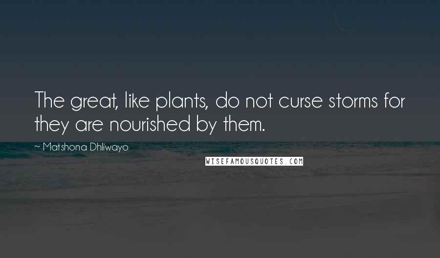 Matshona Dhliwayo Quotes: The great, like plants, do not curse storms for they are nourished by them.