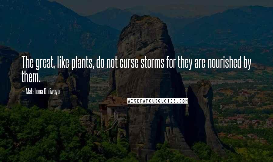 Matshona Dhliwayo Quotes: The great, like plants, do not curse storms for they are nourished by them.