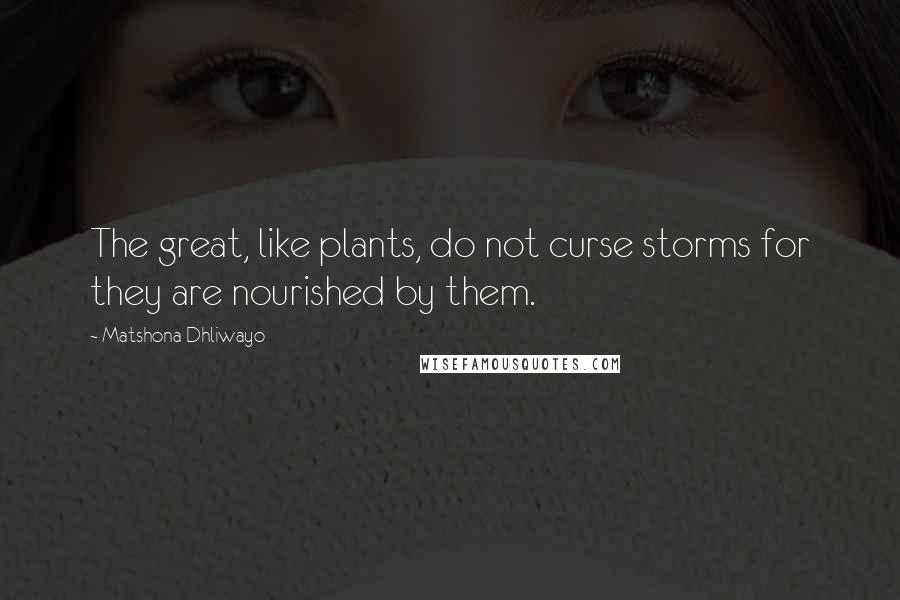 Matshona Dhliwayo Quotes: The great, like plants, do not curse storms for they are nourished by them.