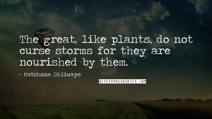 Matshona Dhliwayo Quotes: The great, like plants, do not curse storms for they are nourished by them.