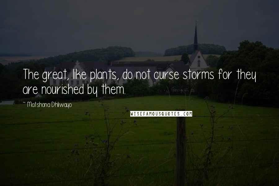 Matshona Dhliwayo Quotes: The great, like plants, do not curse storms for they are nourished by them.