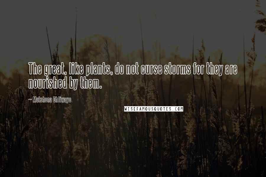 Matshona Dhliwayo Quotes: The great, like plants, do not curse storms for they are nourished by them.