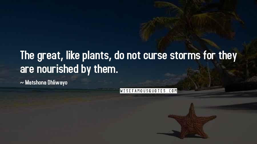 Matshona Dhliwayo Quotes: The great, like plants, do not curse storms for they are nourished by them.