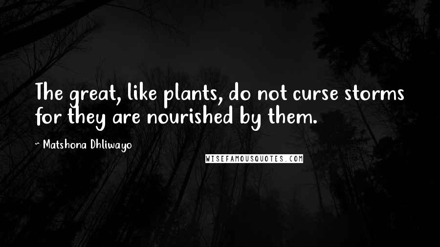 Matshona Dhliwayo Quotes: The great, like plants, do not curse storms for they are nourished by them.