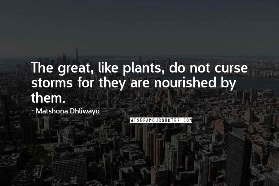 Matshona Dhliwayo Quotes: The great, like plants, do not curse storms for they are nourished by them.