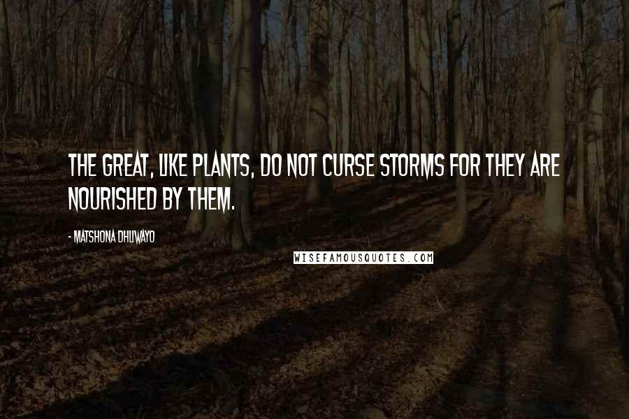 Matshona Dhliwayo Quotes: The great, like plants, do not curse storms for they are nourished by them.