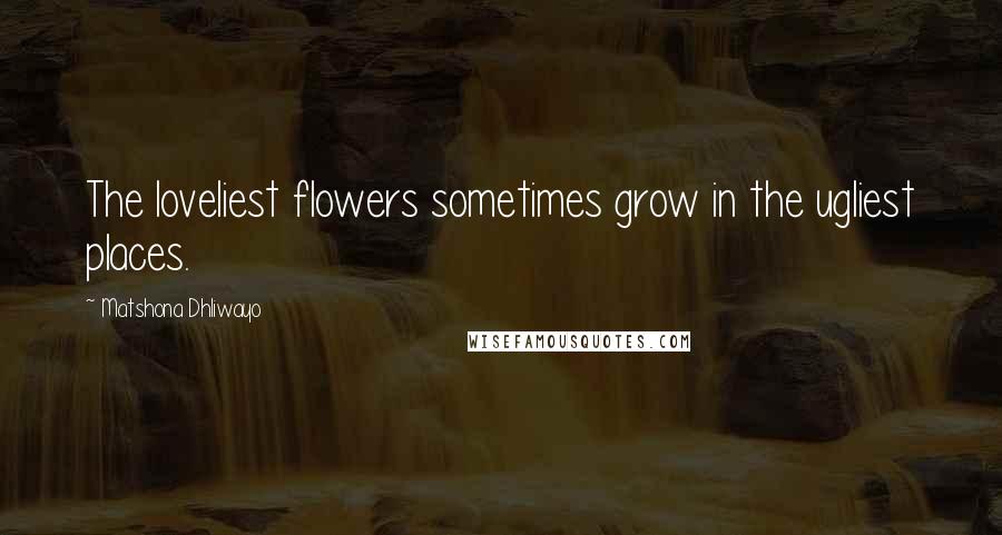 Matshona Dhliwayo Quotes: The loveliest flowers sometimes grow in the ugliest places.