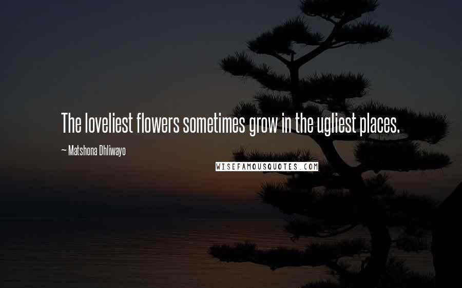 Matshona Dhliwayo Quotes: The loveliest flowers sometimes grow in the ugliest places.