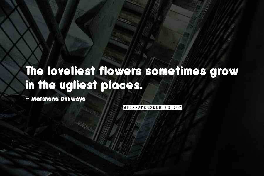 Matshona Dhliwayo Quotes: The loveliest flowers sometimes grow in the ugliest places.
