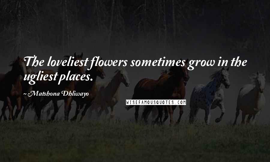 Matshona Dhliwayo Quotes: The loveliest flowers sometimes grow in the ugliest places.