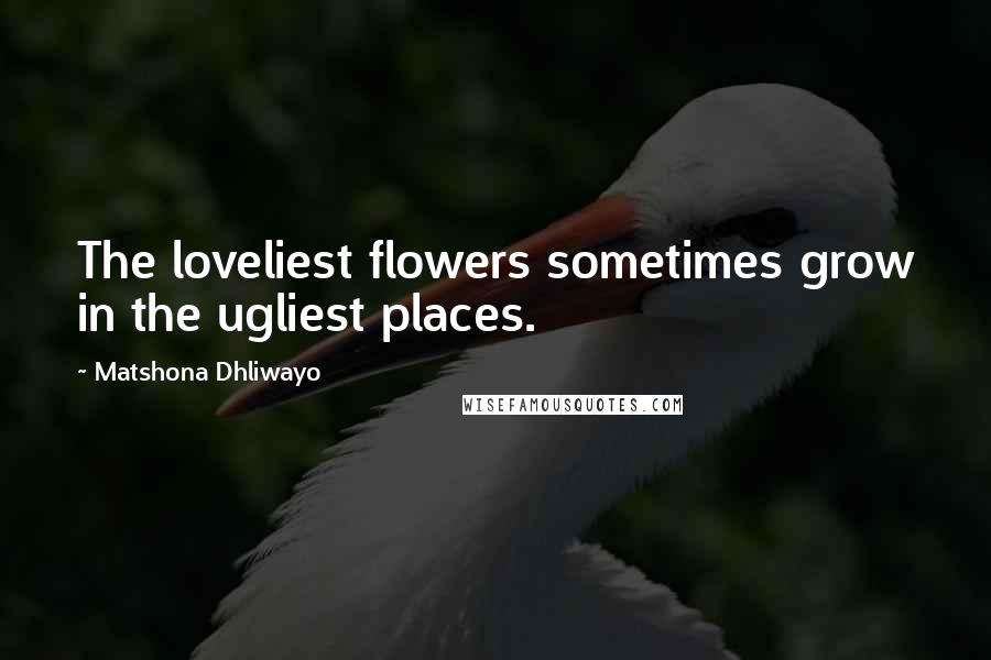 Matshona Dhliwayo Quotes: The loveliest flowers sometimes grow in the ugliest places.