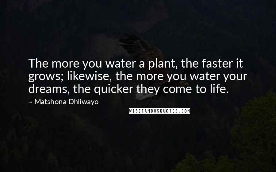 Matshona Dhliwayo Quotes: The more you water a plant, the faster it grows; likewise, the more you water your dreams, the quicker they come to life.