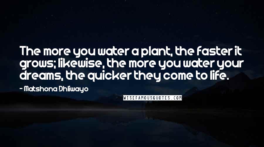 Matshona Dhliwayo Quotes: The more you water a plant, the faster it grows; likewise, the more you water your dreams, the quicker they come to life.