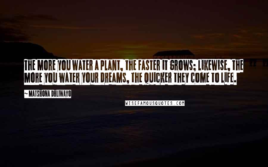 Matshona Dhliwayo Quotes: The more you water a plant, the faster it grows; likewise, the more you water your dreams, the quicker they come to life.