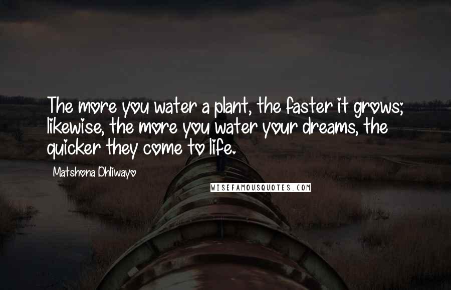 Matshona Dhliwayo Quotes: The more you water a plant, the faster it grows; likewise, the more you water your dreams, the quicker they come to life.