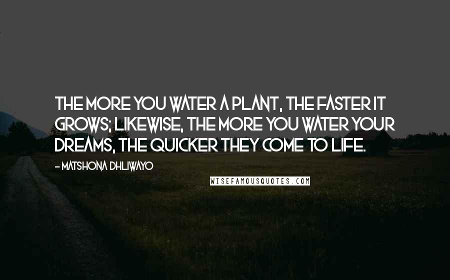 Matshona Dhliwayo Quotes: The more you water a plant, the faster it grows; likewise, the more you water your dreams, the quicker they come to life.