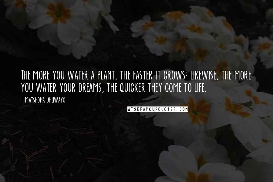 Matshona Dhliwayo Quotes: The more you water a plant, the faster it grows; likewise, the more you water your dreams, the quicker they come to life.