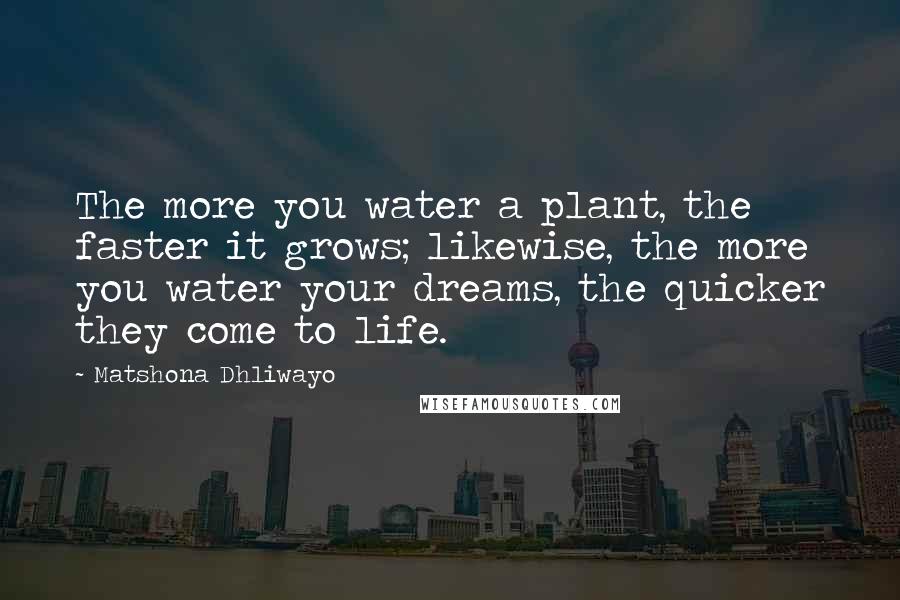 Matshona Dhliwayo Quotes: The more you water a plant, the faster it grows; likewise, the more you water your dreams, the quicker they come to life.