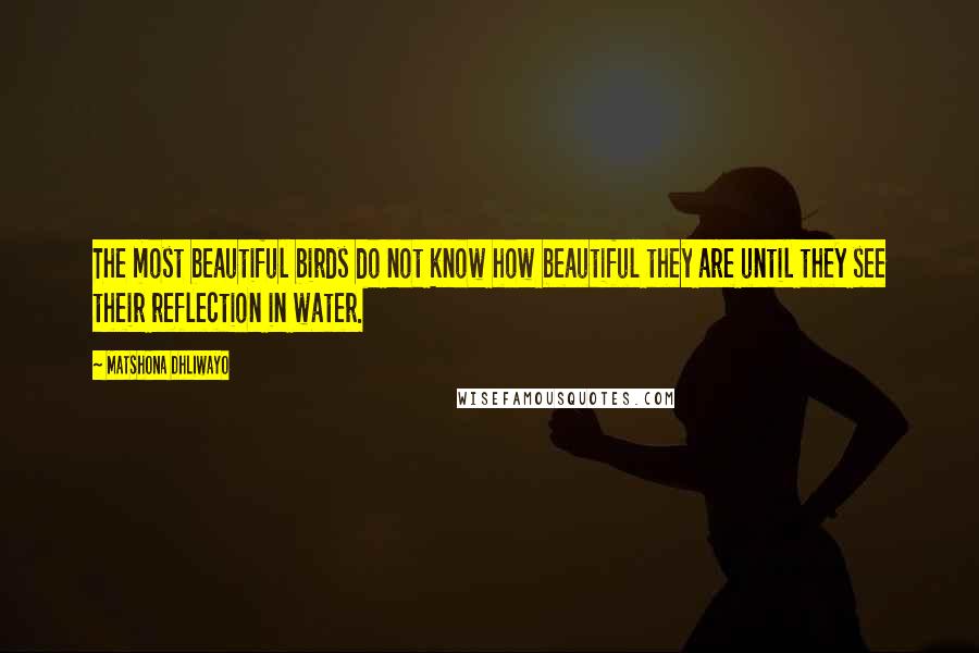 Matshona Dhliwayo Quotes: The most beautiful birds do not know how beautiful they are until they see their reflection in water.