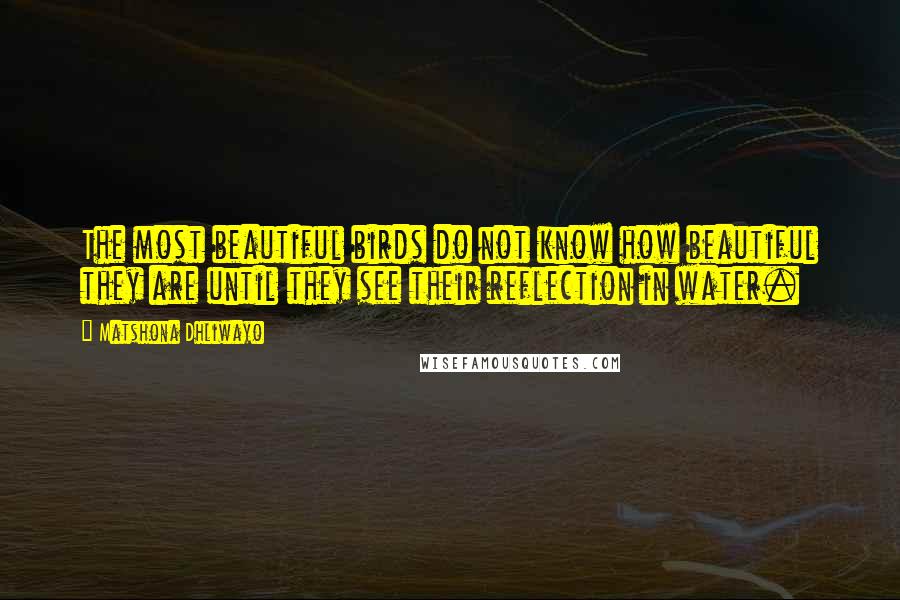 Matshona Dhliwayo Quotes: The most beautiful birds do not know how beautiful they are until they see their reflection in water.