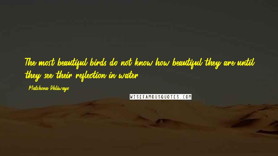 Matshona Dhliwayo Quotes: The most beautiful birds do not know how beautiful they are until they see their reflection in water.
