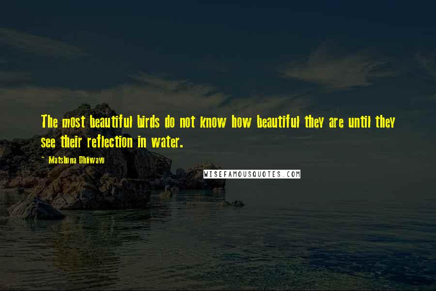 Matshona Dhliwayo Quotes: The most beautiful birds do not know how beautiful they are until they see their reflection in water.