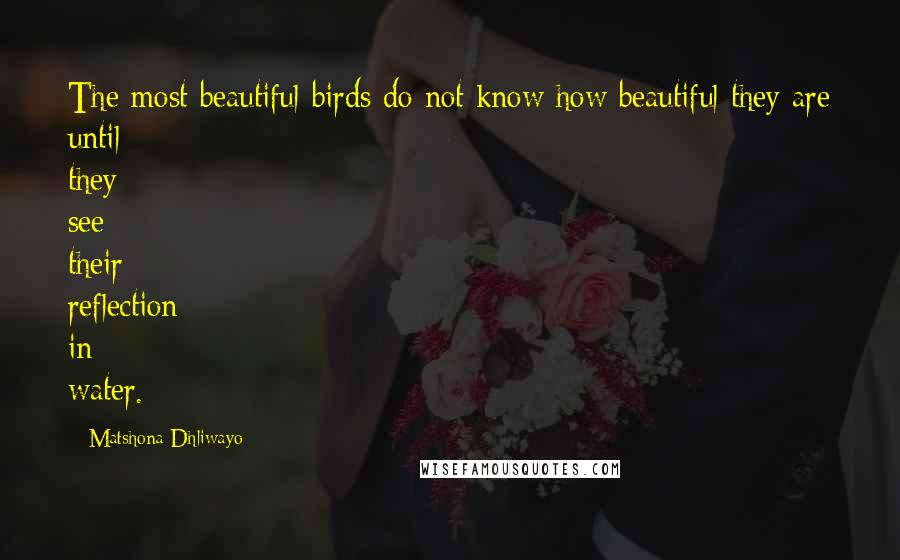 Matshona Dhliwayo Quotes: The most beautiful birds do not know how beautiful they are until they see their reflection in water.