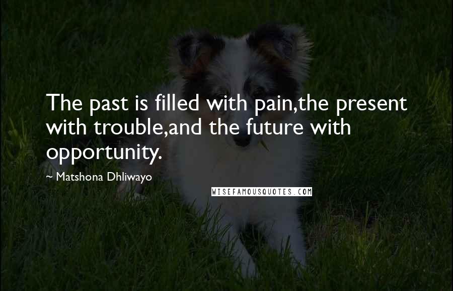 Matshona Dhliwayo Quotes: The past is filled with pain,the present with trouble,and the future with opportunity.