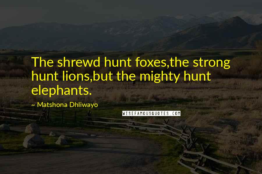 Matshona Dhliwayo Quotes: The shrewd hunt foxes,the strong hunt lions,but the mighty hunt elephants.