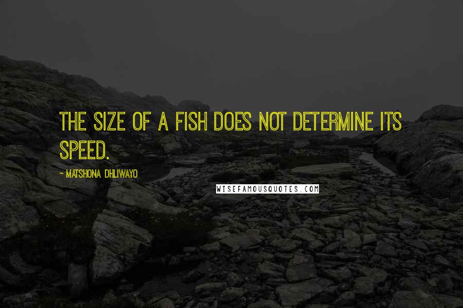 Matshona Dhliwayo Quotes: The size of a fish does not determine its speed.