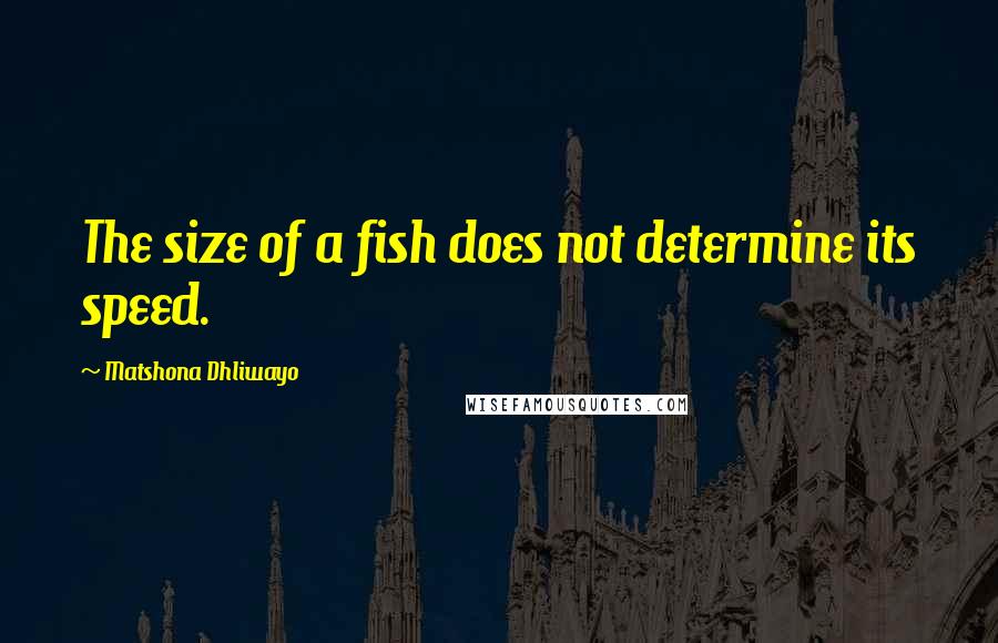 Matshona Dhliwayo Quotes: The size of a fish does not determine its speed.