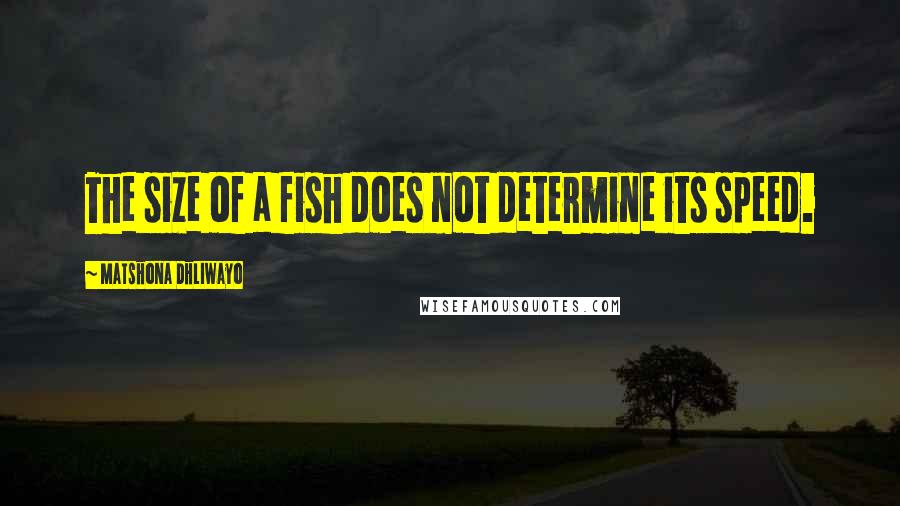 Matshona Dhliwayo Quotes: The size of a fish does not determine its speed.