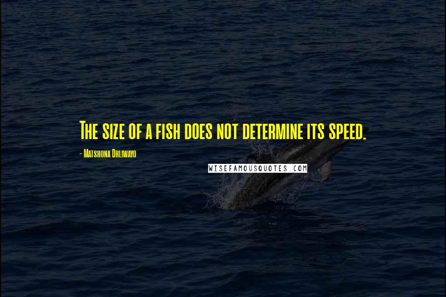 Matshona Dhliwayo Quotes: The size of a fish does not determine its speed.