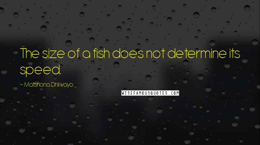 Matshona Dhliwayo Quotes: The size of a fish does not determine its speed.