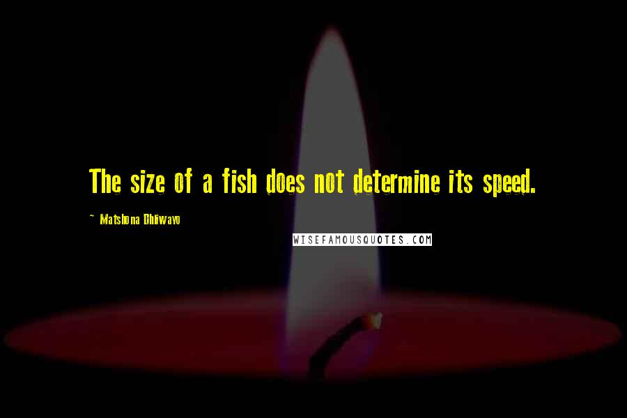 Matshona Dhliwayo Quotes: The size of a fish does not determine its speed.