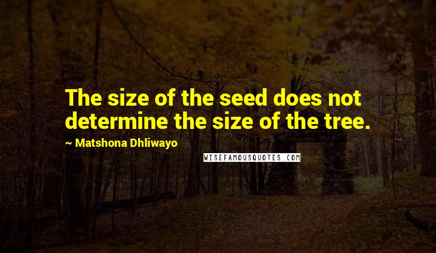 Matshona Dhliwayo Quotes: The size of the seed does not determine the size of the tree.