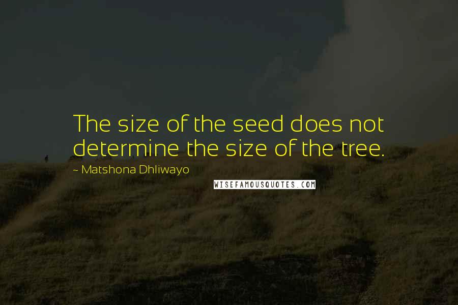 Matshona Dhliwayo Quotes: The size of the seed does not determine the size of the tree.