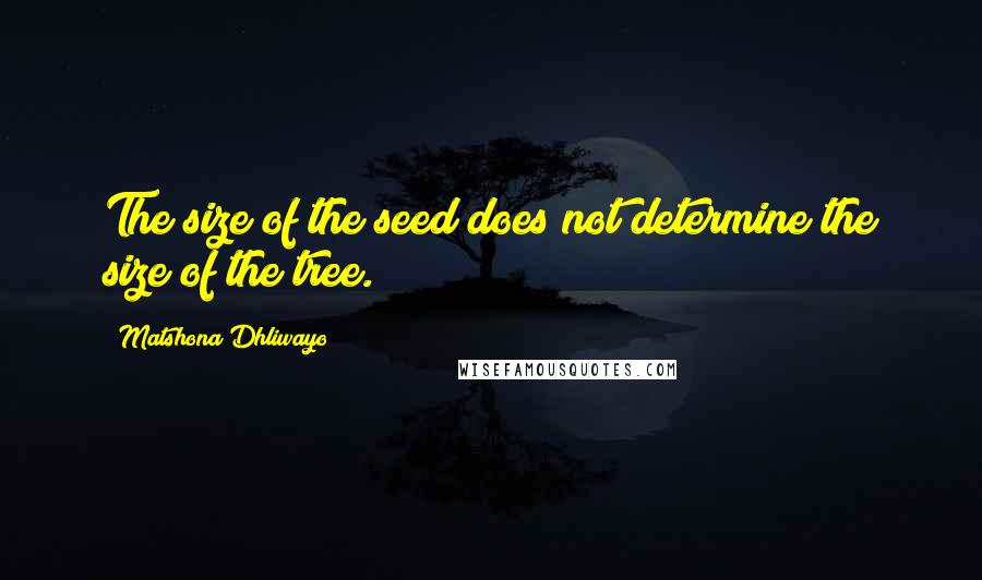 Matshona Dhliwayo Quotes: The size of the seed does not determine the size of the tree.