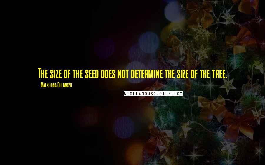 Matshona Dhliwayo Quotes: The size of the seed does not determine the size of the tree.