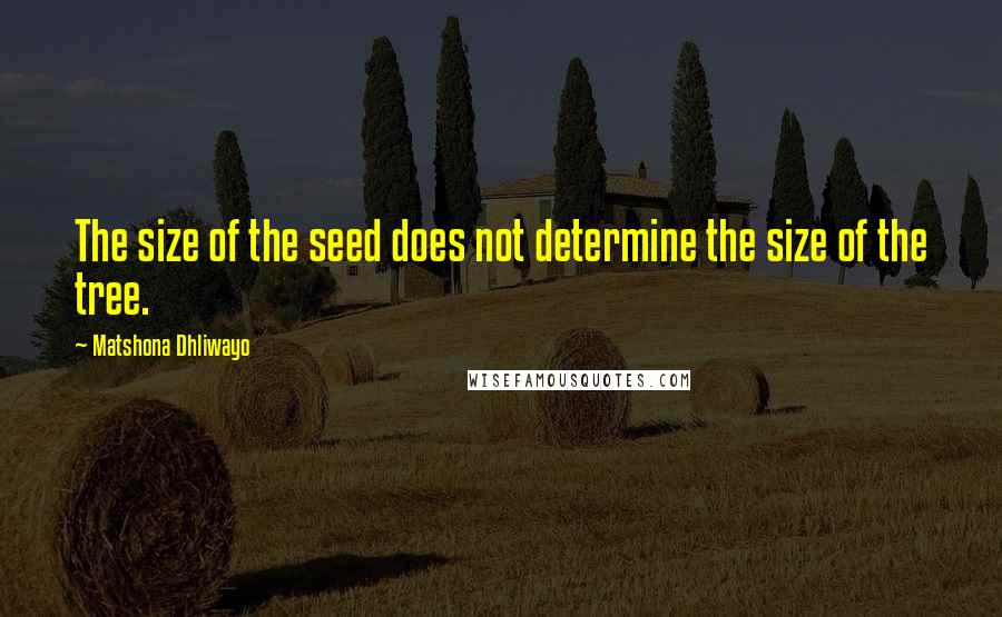 Matshona Dhliwayo Quotes: The size of the seed does not determine the size of the tree.