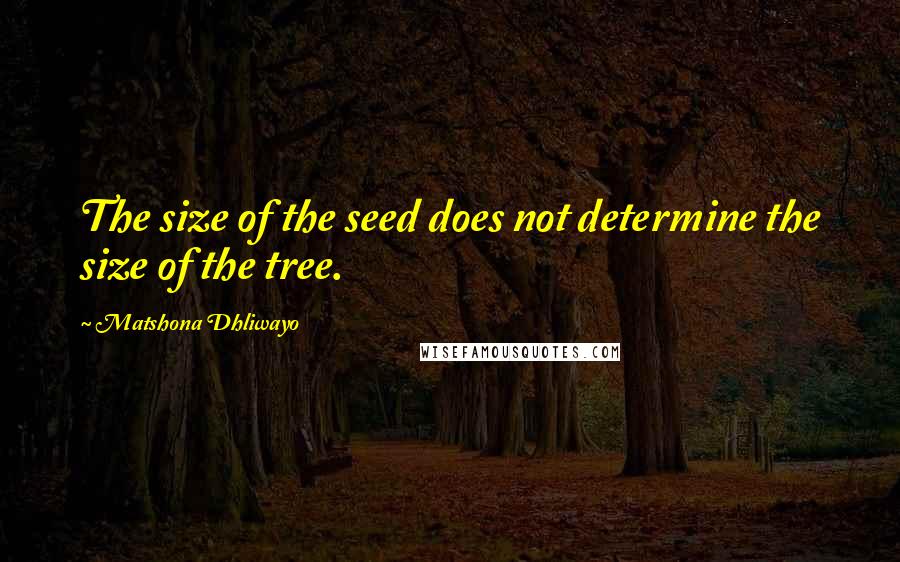 Matshona Dhliwayo Quotes: The size of the seed does not determine the size of the tree.