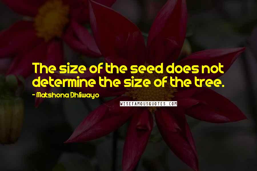 Matshona Dhliwayo Quotes: The size of the seed does not determine the size of the tree.