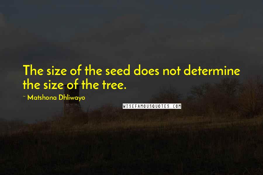 Matshona Dhliwayo Quotes: The size of the seed does not determine the size of the tree.