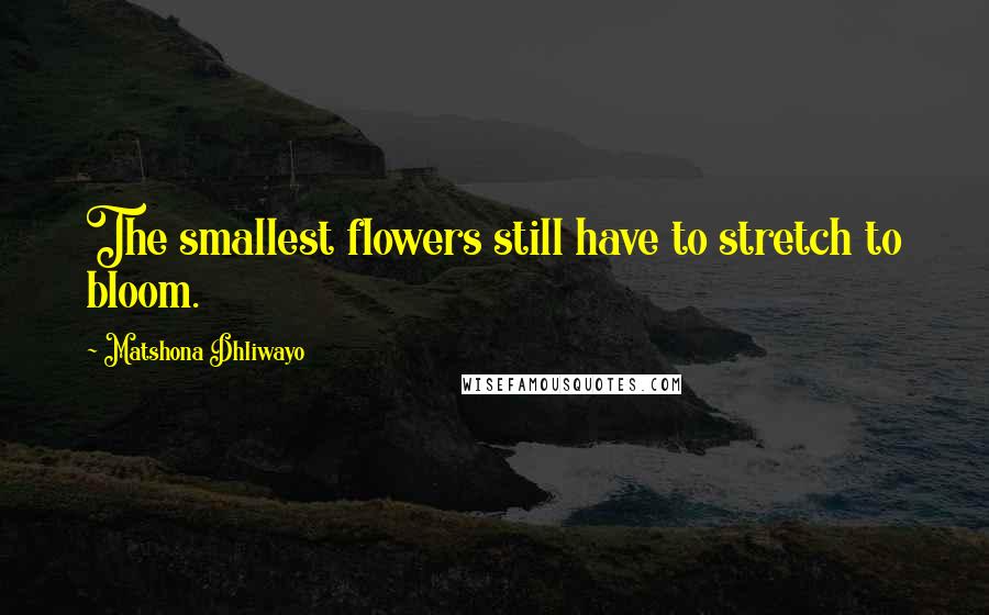Matshona Dhliwayo Quotes: The smallest flowers still have to stretch to bloom.