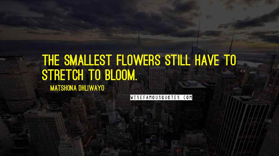 Matshona Dhliwayo Quotes: The smallest flowers still have to stretch to bloom.